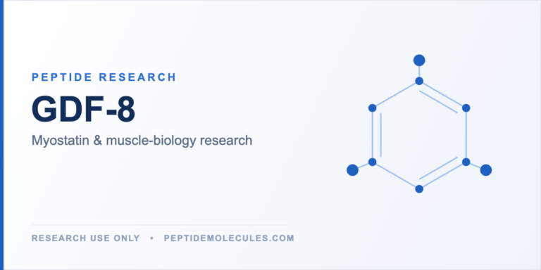 The Science of GDF-8 (Myostatin): The Negative Regulator of Muscle Mass